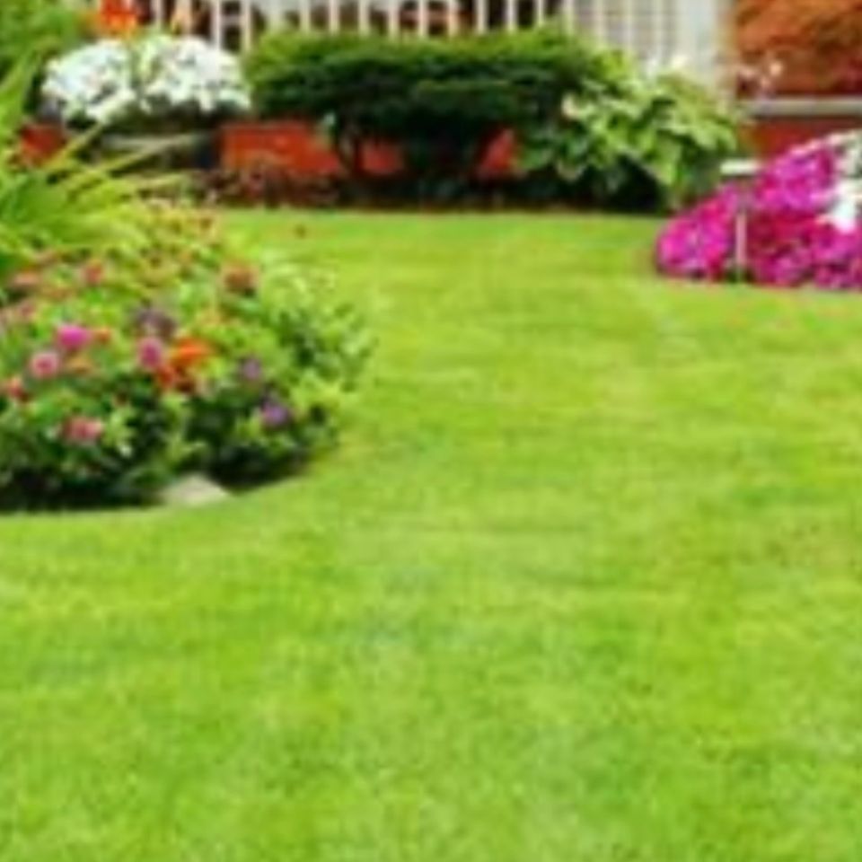 Media 1590627285725 may 27 2020 8 54 pm