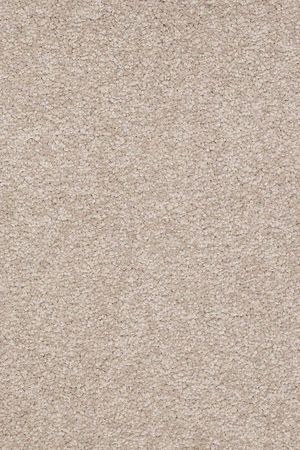 Timeless appeal iii 12'   soft shadow  5.99