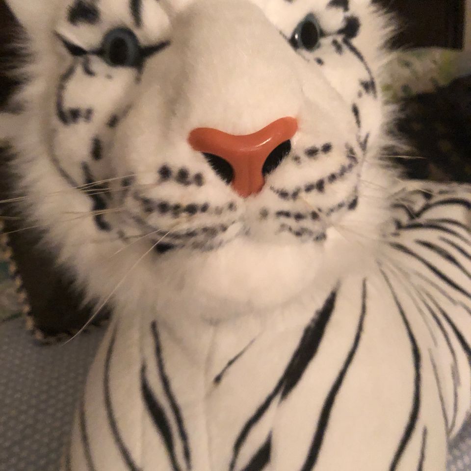 White tiger