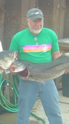 Man on dock holding 4 foot striper