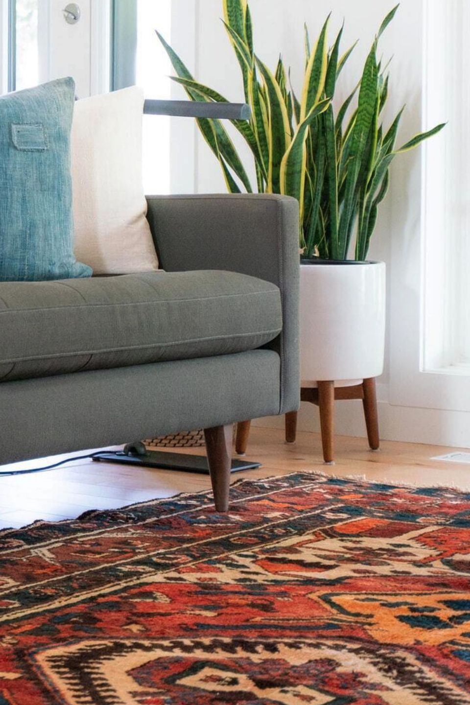 Modern living room with gray sofa, blue throw pillow, snake plant in white planter, large windows, and colorful patterned area rug