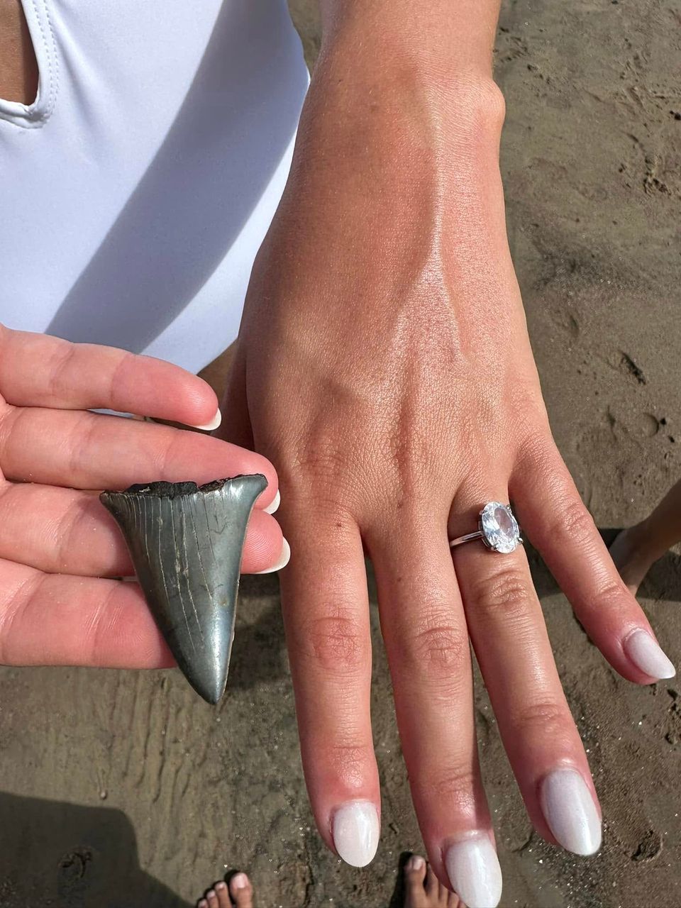 Hand holding small shark tooth with Charleston beach in background