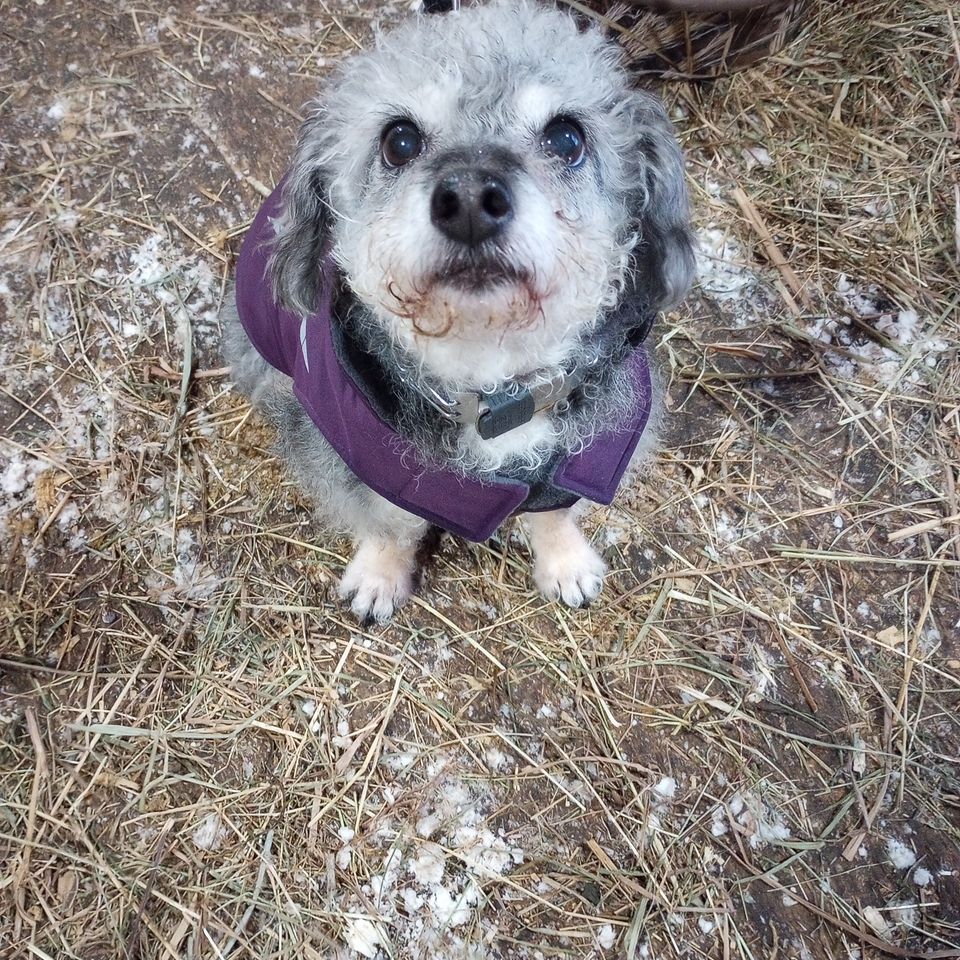 Img 20240107 161757400