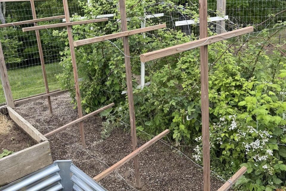 620f8c48 b655 40aa a640 52af1ce846eb