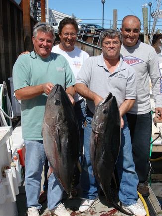 Four men on a dock holdung huge fishes