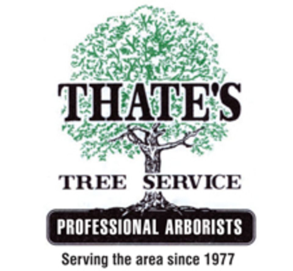 Thates tree service20140102 24022 dk4f0f 0