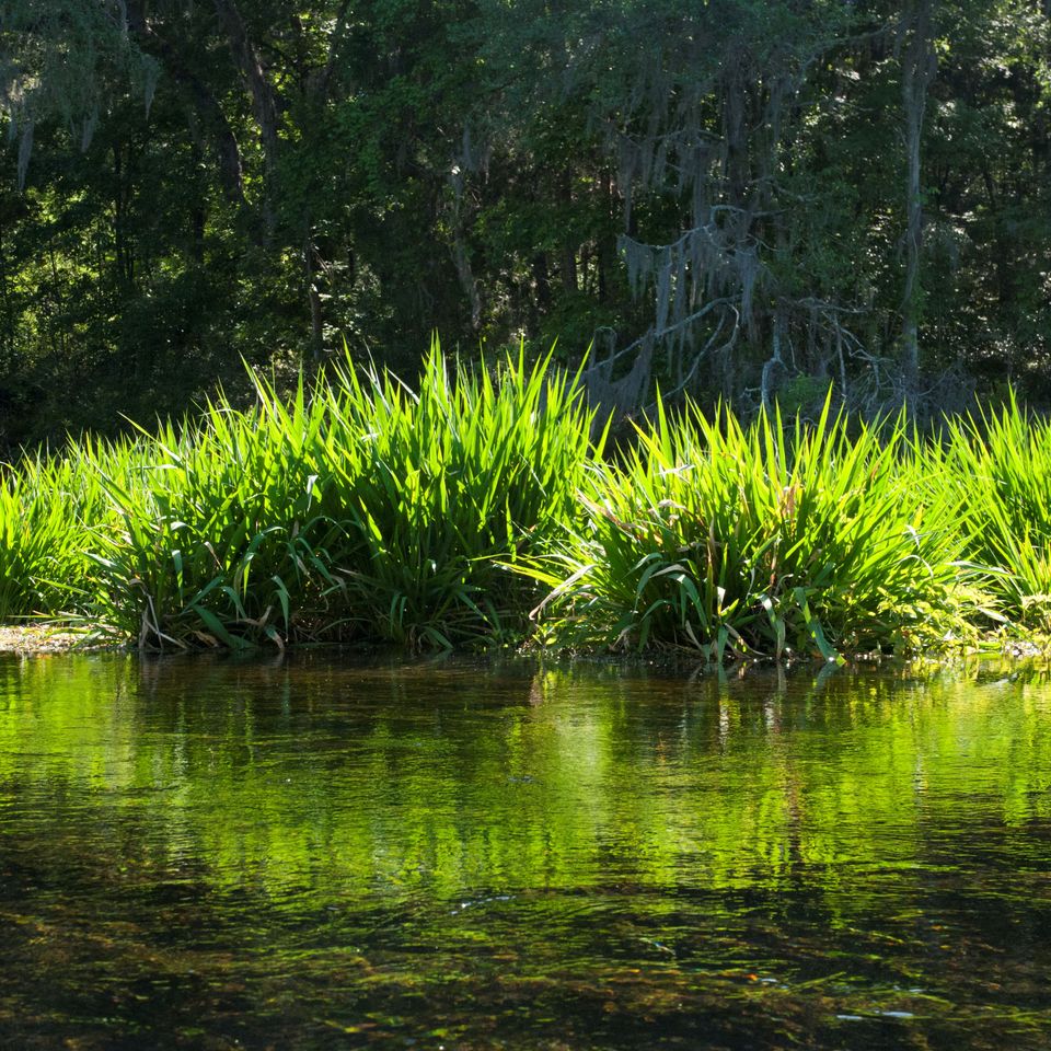 Rc river reflection 46