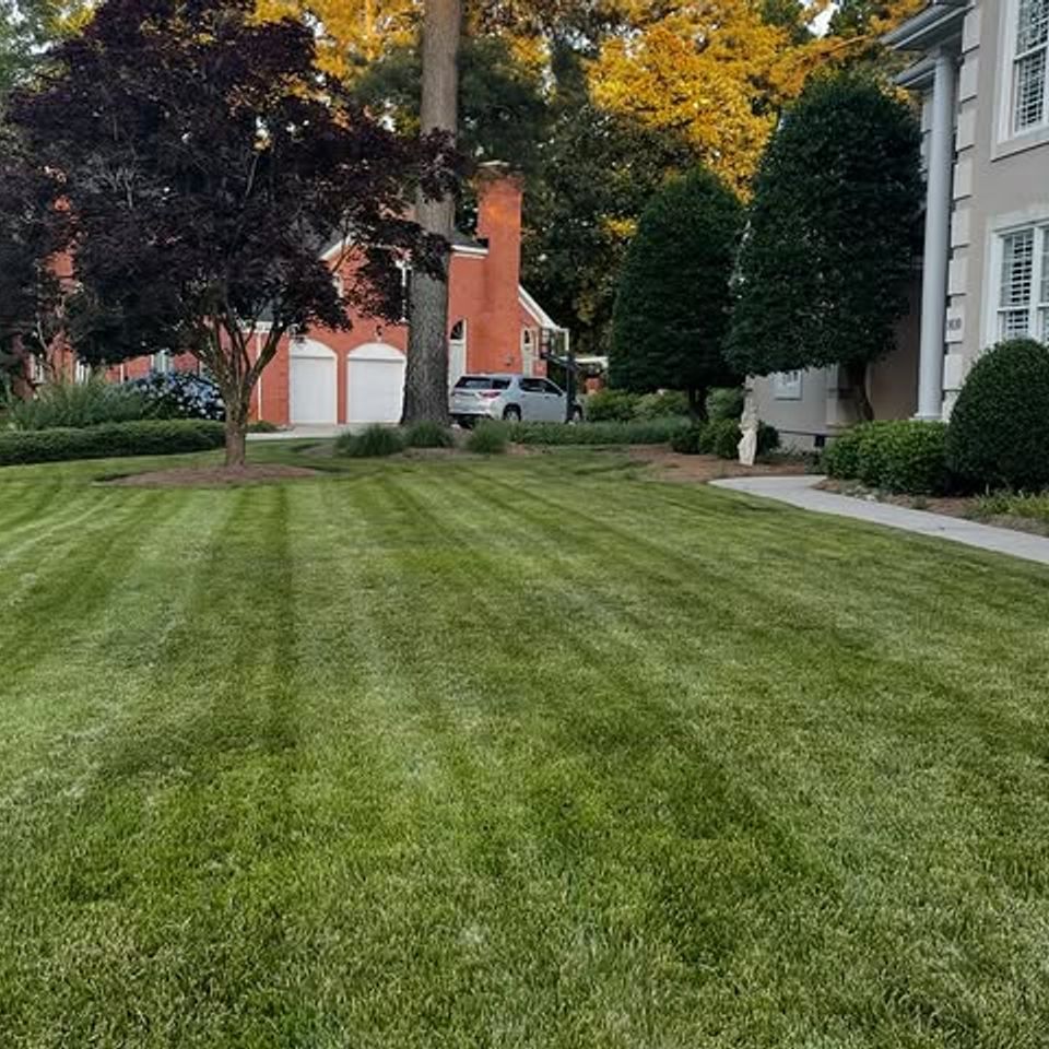Grass with perfect cut lines in it after mowing, done by Get A Mow On Lawn Care LLC of Chesapeake VA