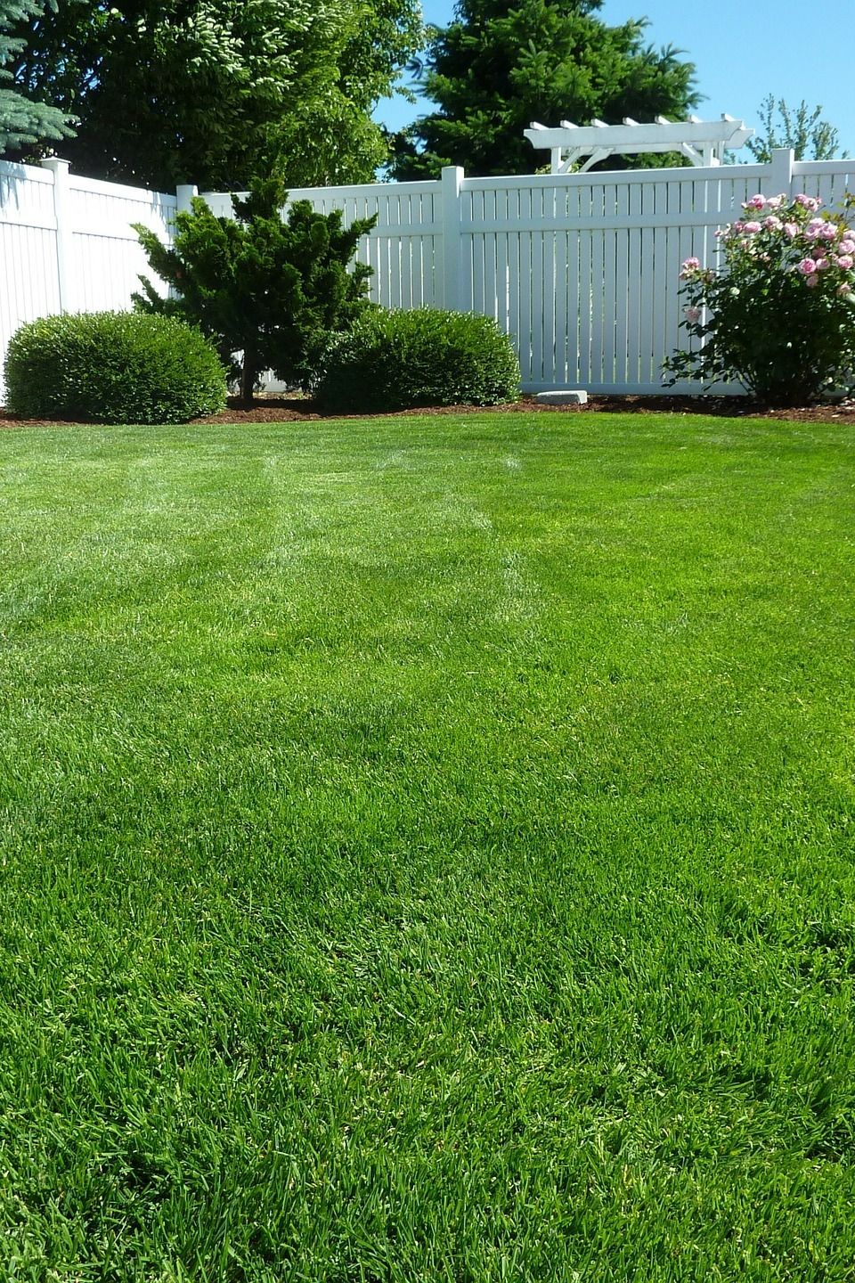 Septic Pumping & Cleaning Services Company in Twin Falls, ID