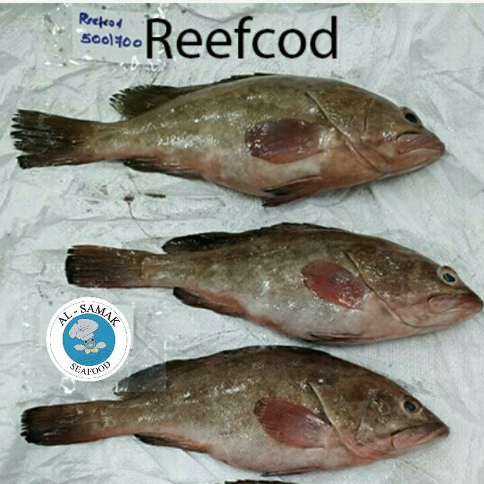 Refcodofficiall