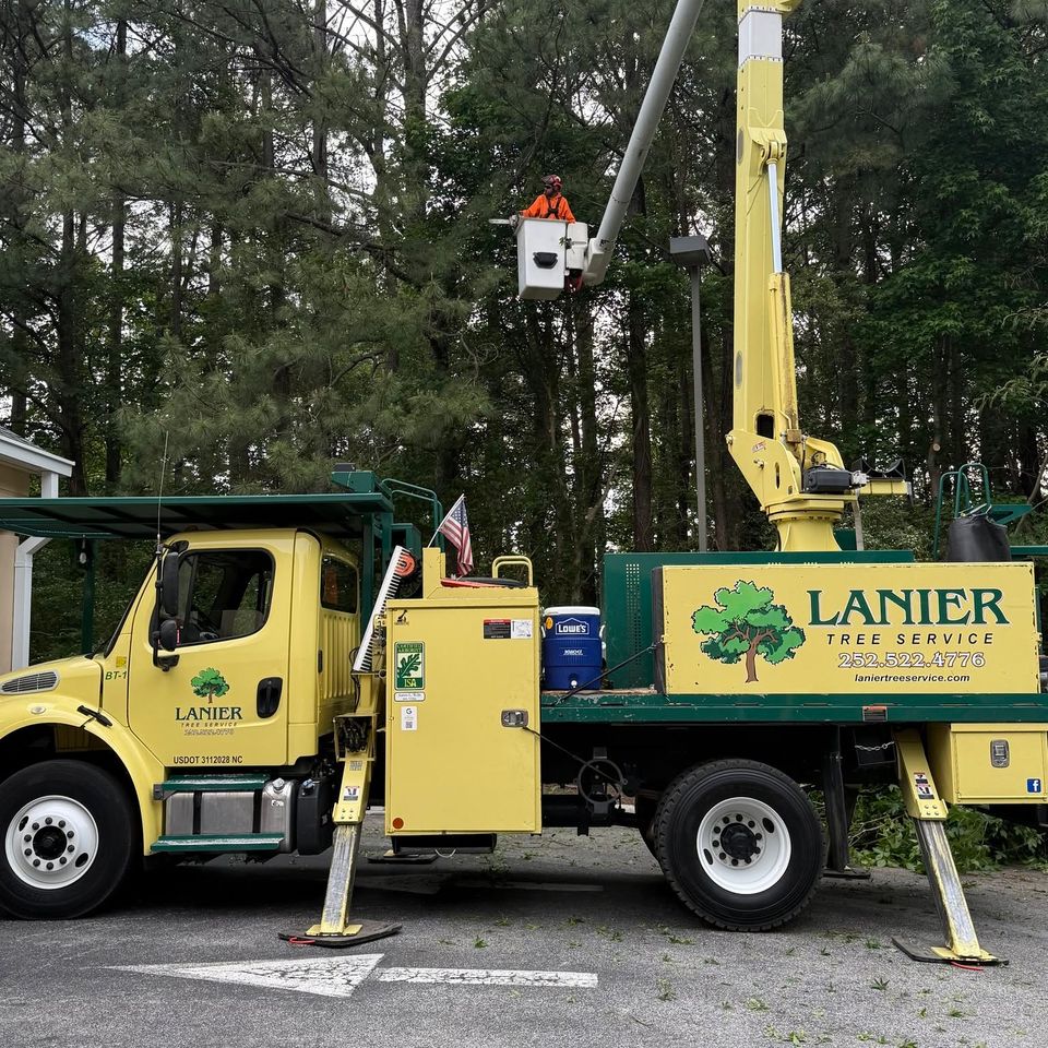 Lanier Tree Service crane service for tree removal in Carteret County.