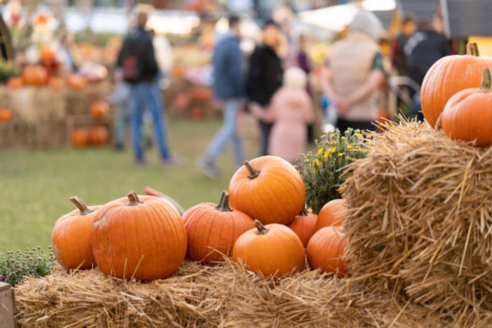Istockphoto 1431335872 612x612