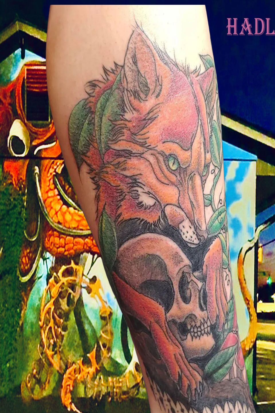 Image 6487327 (15) original copy