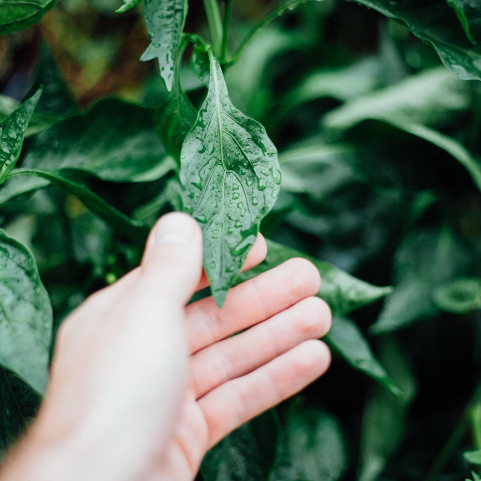 Ryan jacobson mnxladfhzo8 unsplash