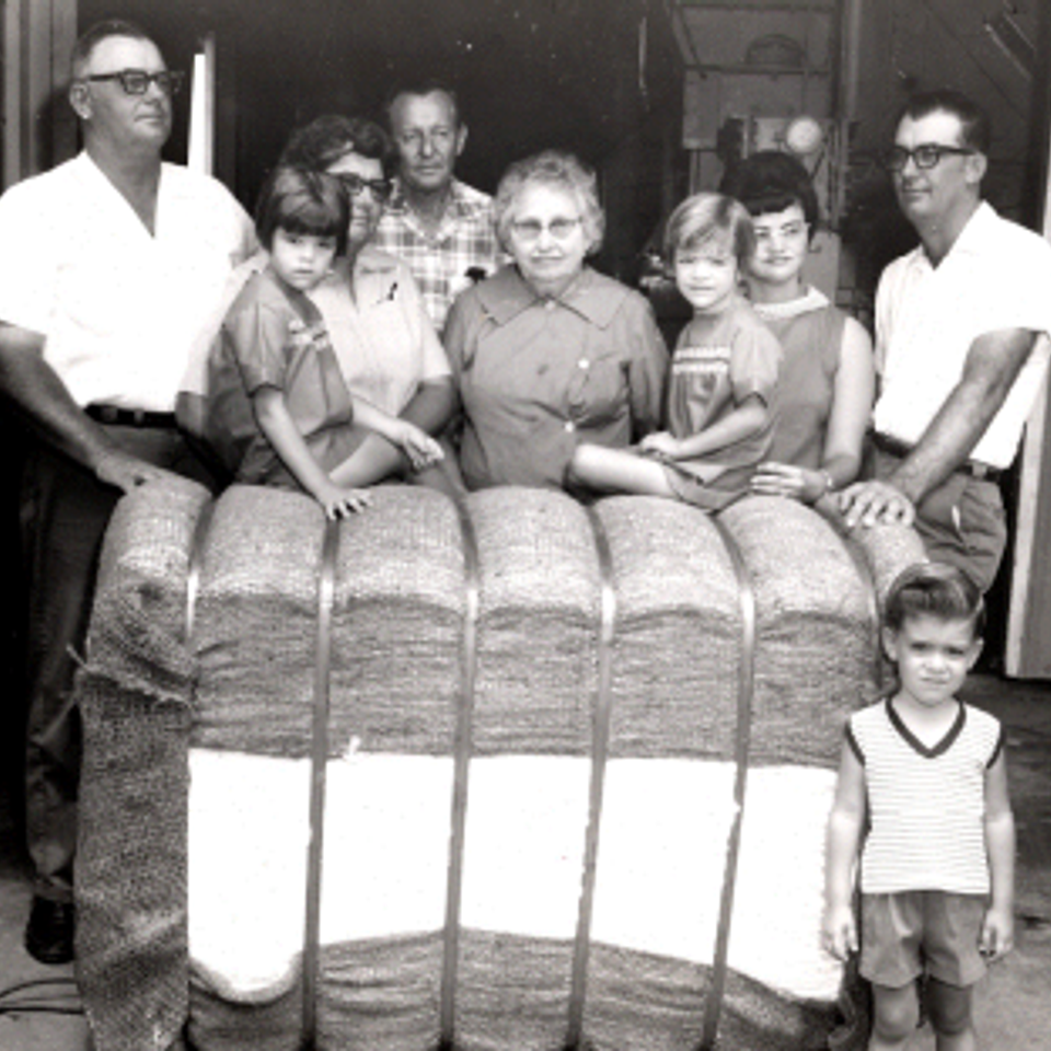 Cottonbale