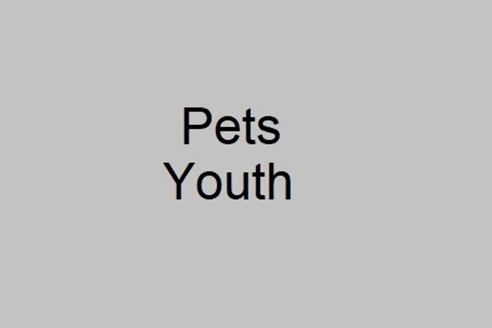 7m y pets