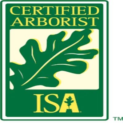 Certified arborist auburn ca