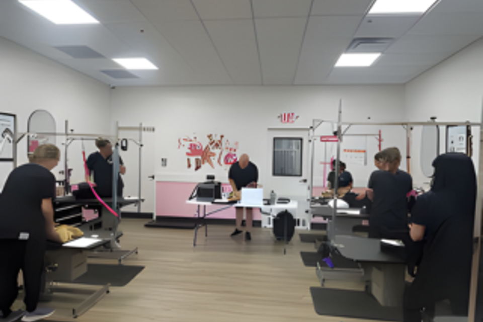 Woof gang pic 10 high res