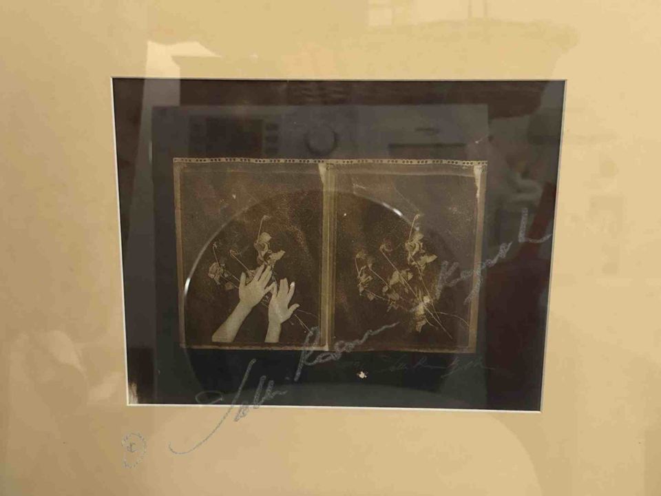 Roses are stinging. van dyke print