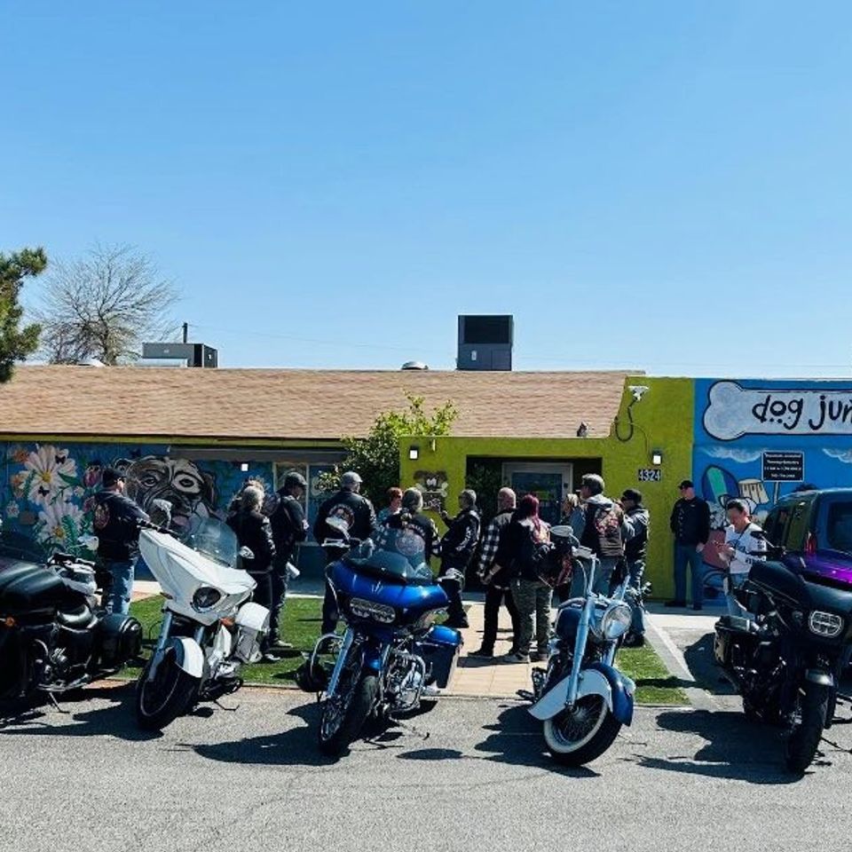 Dog junkies bikes