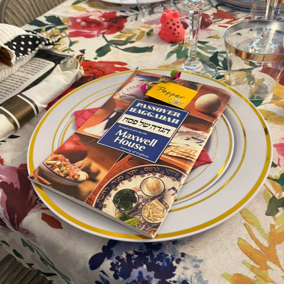 Party savers passover dinner party