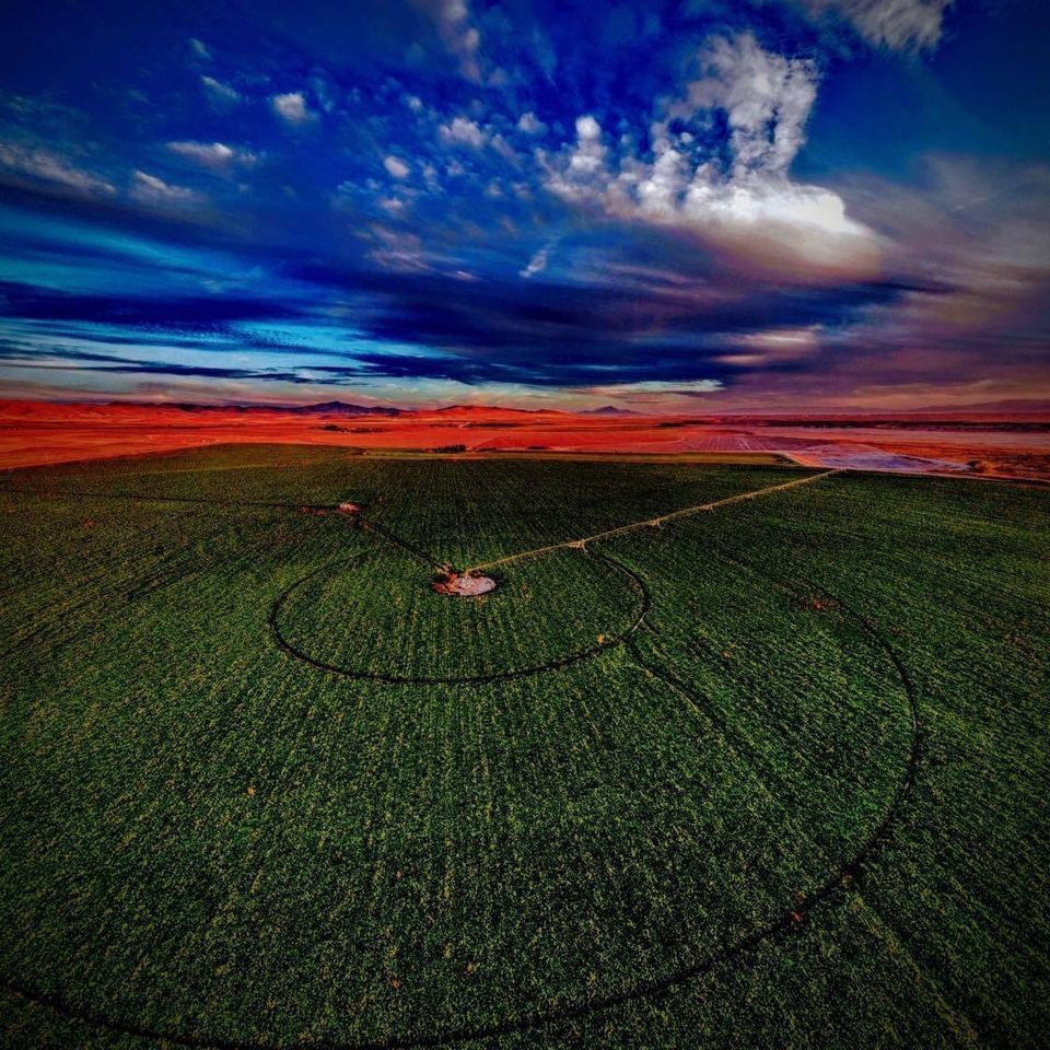 Scenic drone shot of a field | Boise Aerial Drone Photography