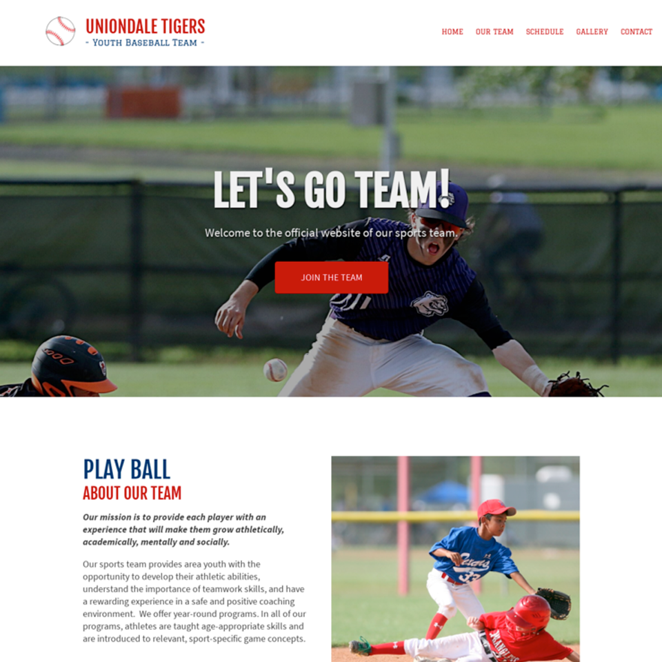 Youth sports team website theme