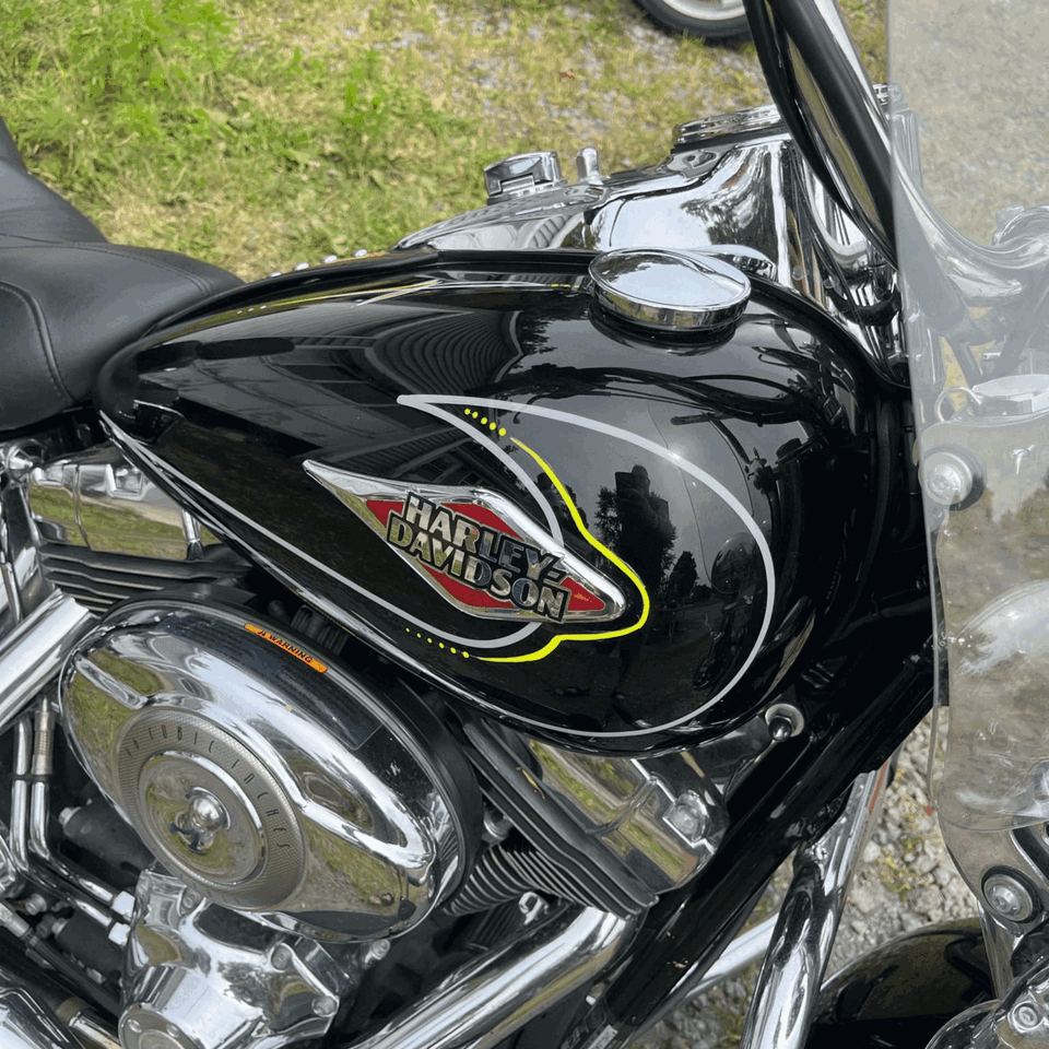 Creative custom pinstriping design and artistic projects created by Skeeter's Grafix.
