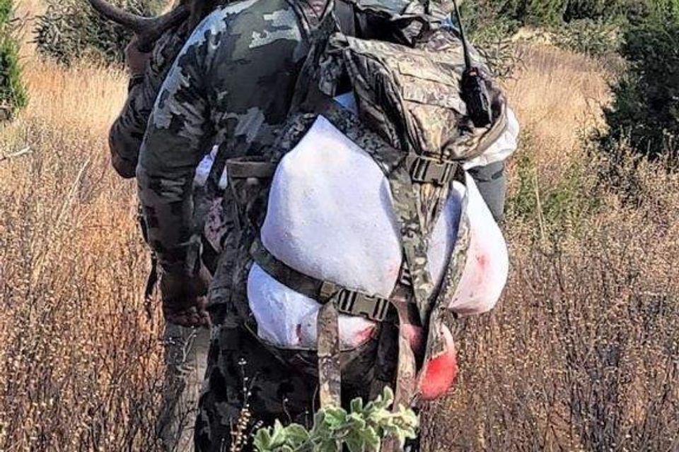 Tim getting his daily pack out exercise again 2021