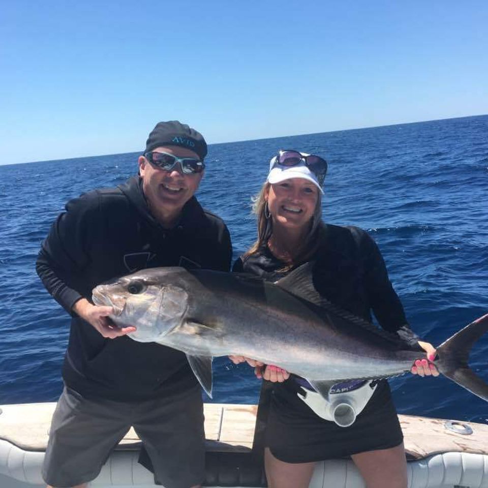 Amber jack