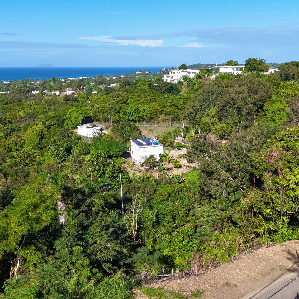 Dji 20251205082125 0030 d