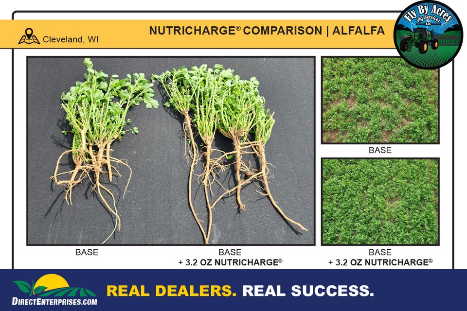 Fly by storyboards 20251230 1