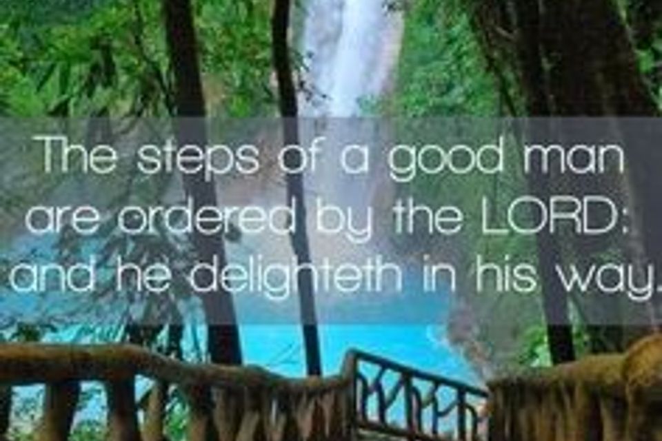 D7969455c15e8a787d10f6383959716c  my daily bread psalm 