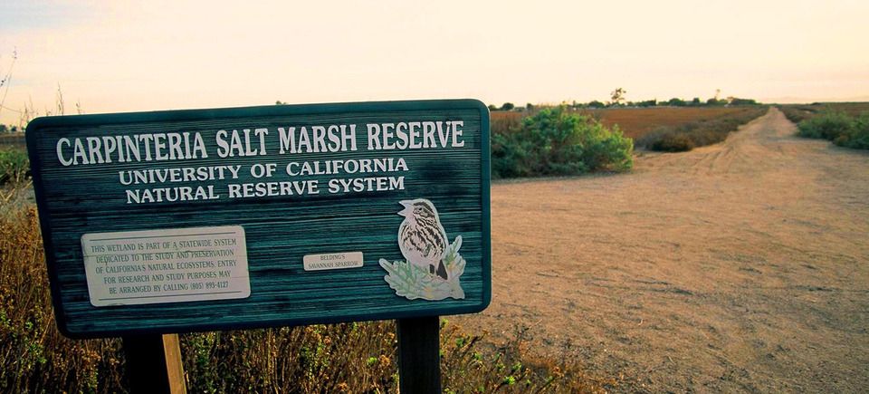 Marshslideshow1720121203 1865 1rjqpgs 0