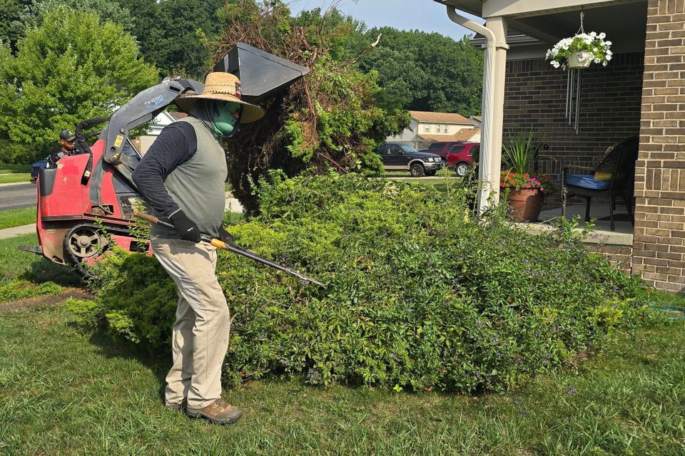 Workers of Vic's Landscaping working during seasonal cleanup