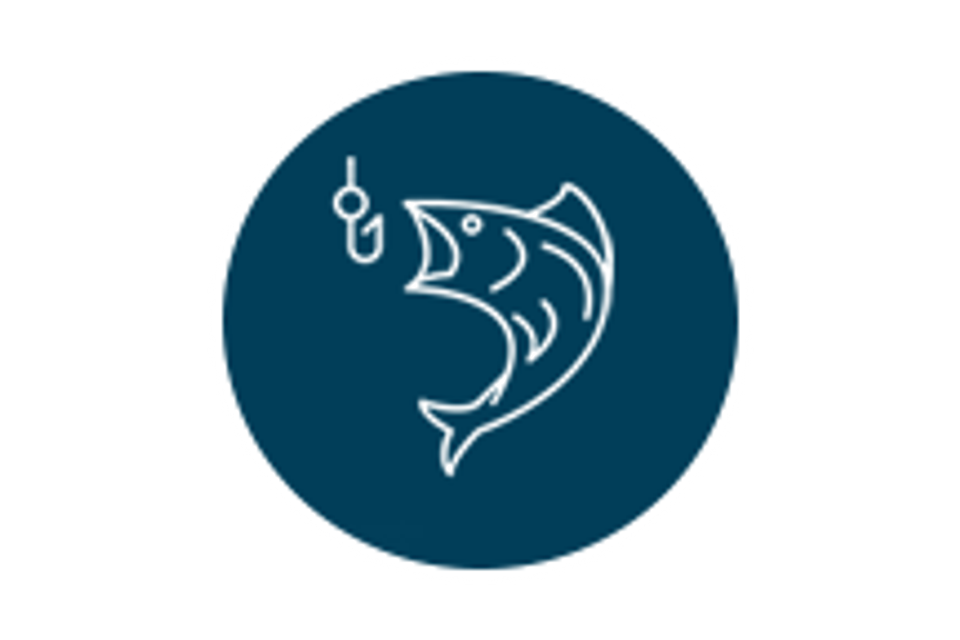 Fish icon