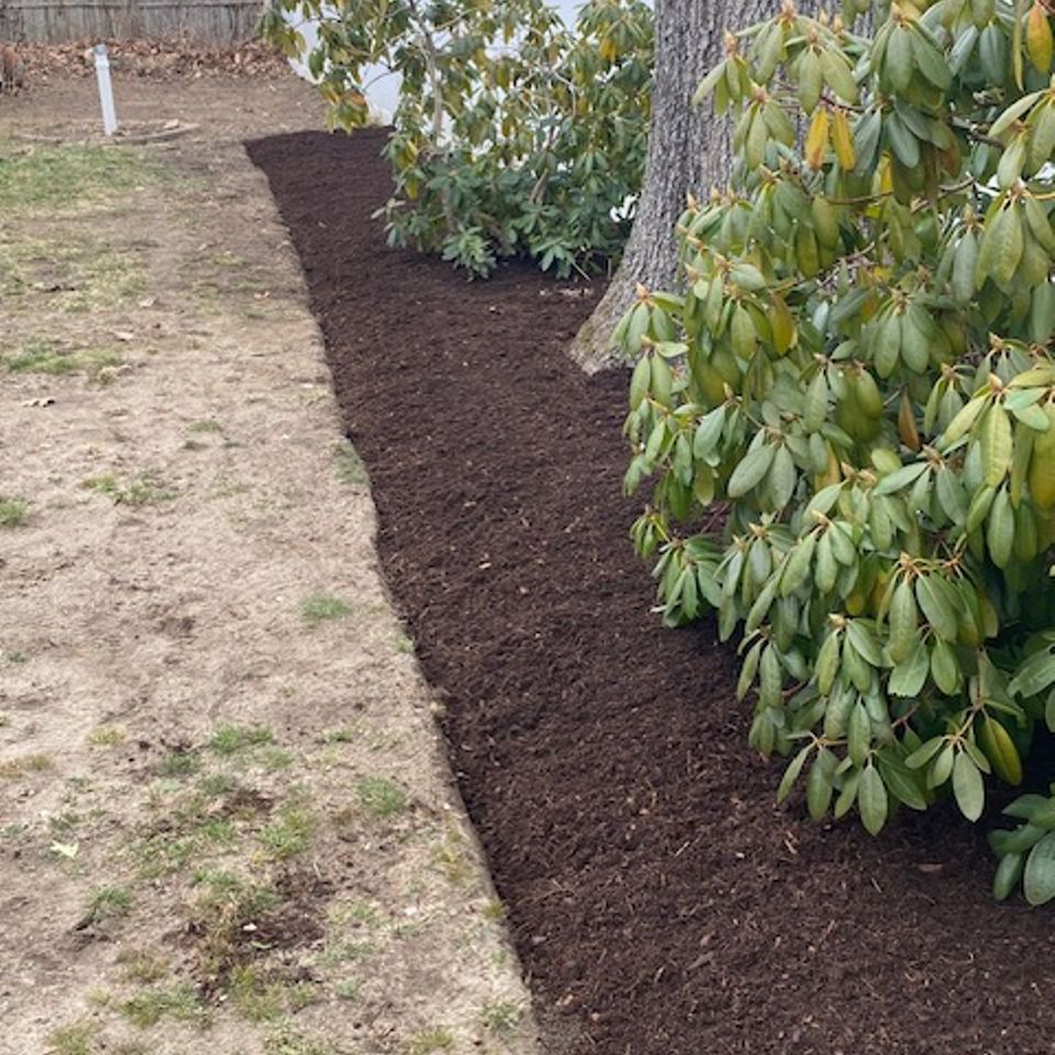 Sullivan mulch backyard after