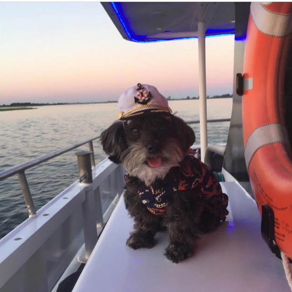 Capt lous doggie sunset cruises