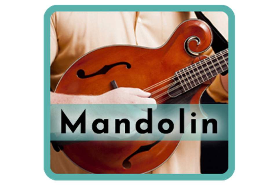 Mandolinteal