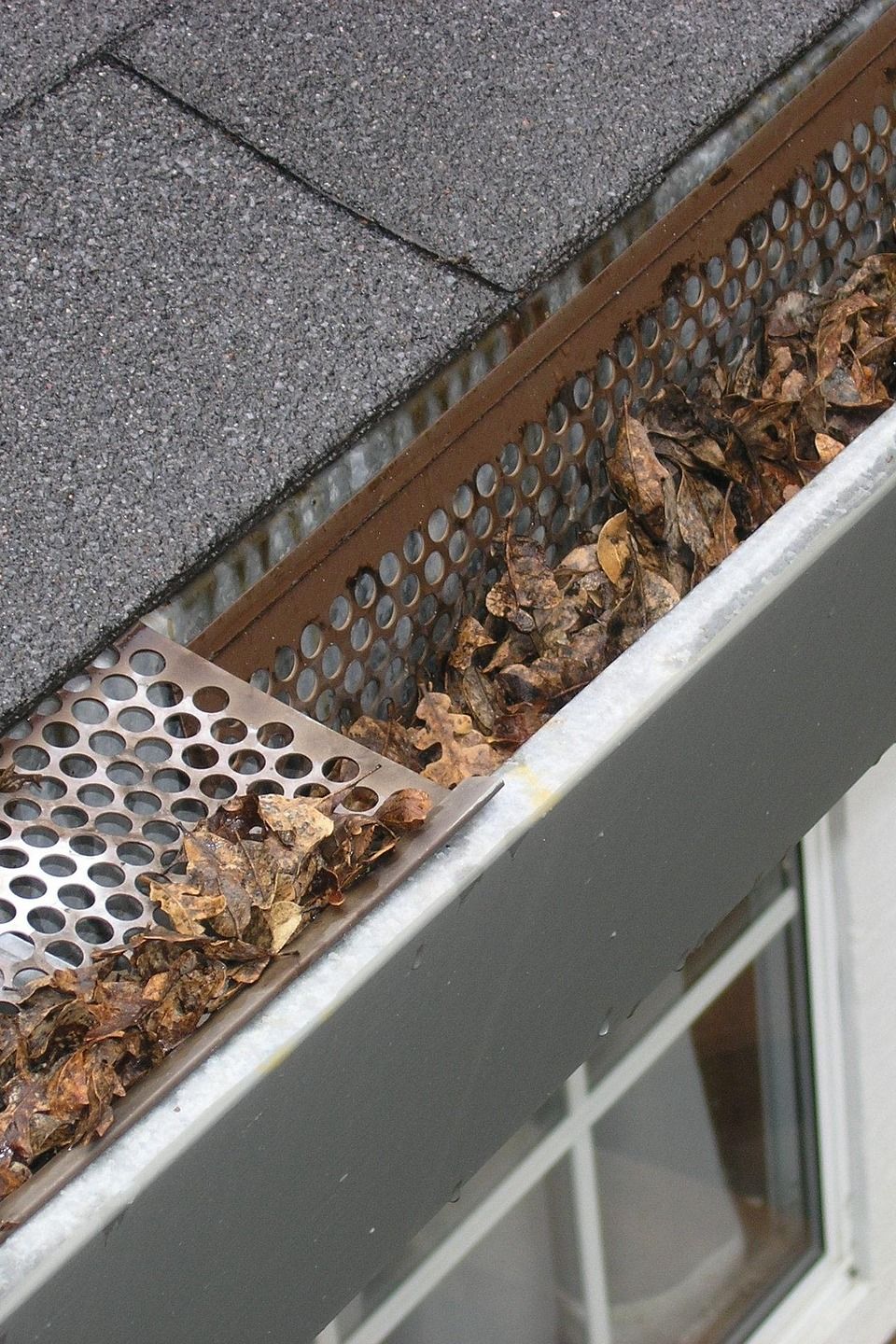 Gutter guard ipswich g70be0e647 1920