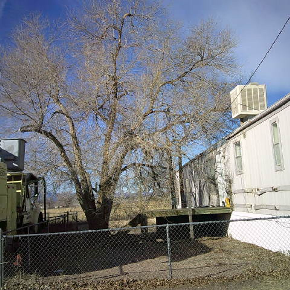 Trees of life tree service 15
