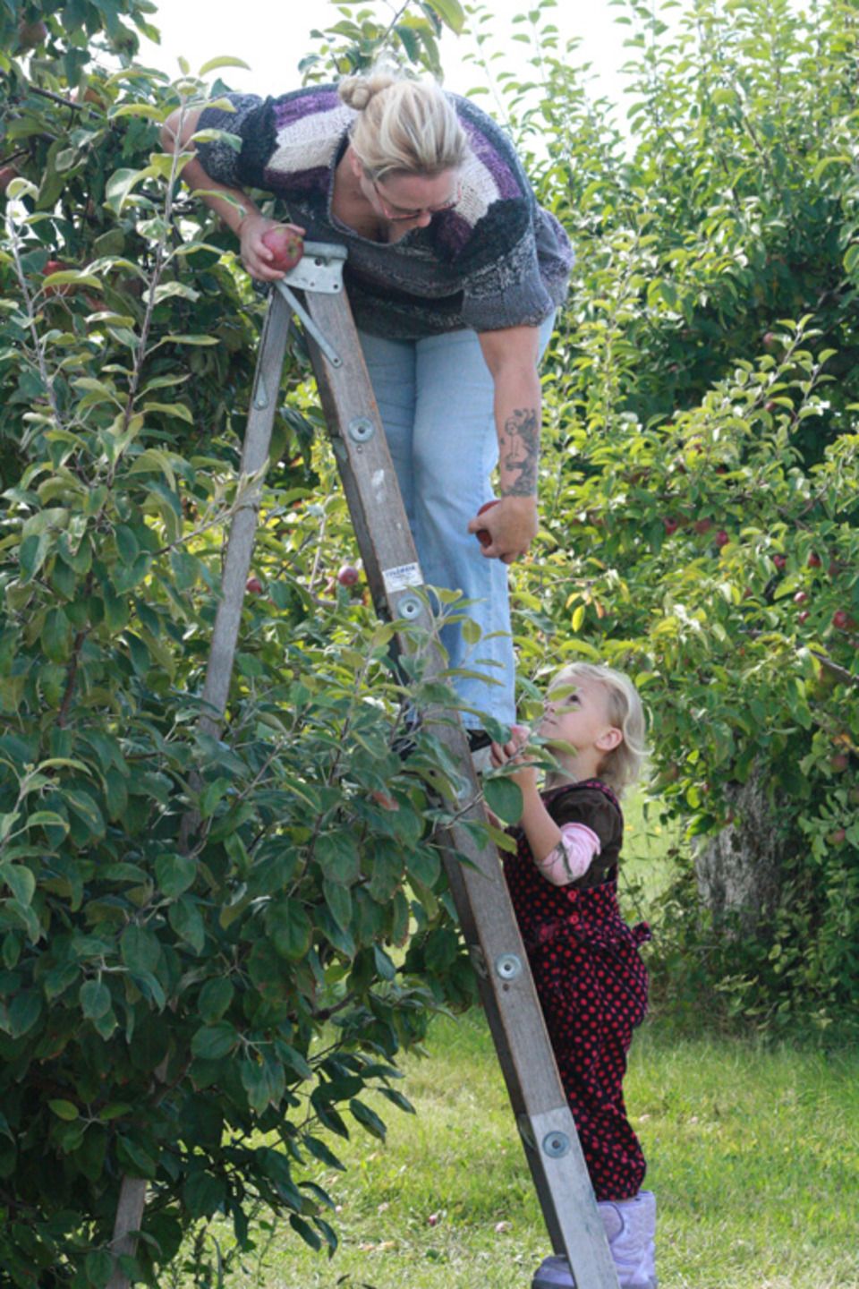 Heritage mom and girl on ladder20130923 12000 1j5y8kt 0
