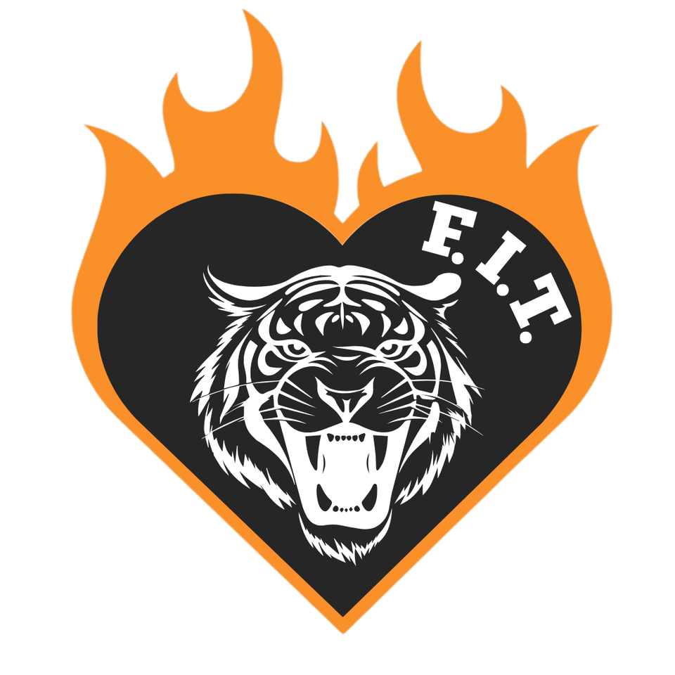 Tiger tamers   website (15)