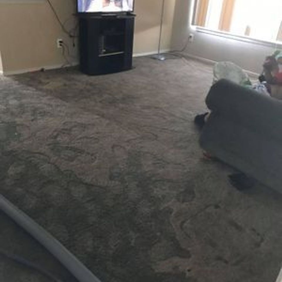 Gallery (4) 298w
