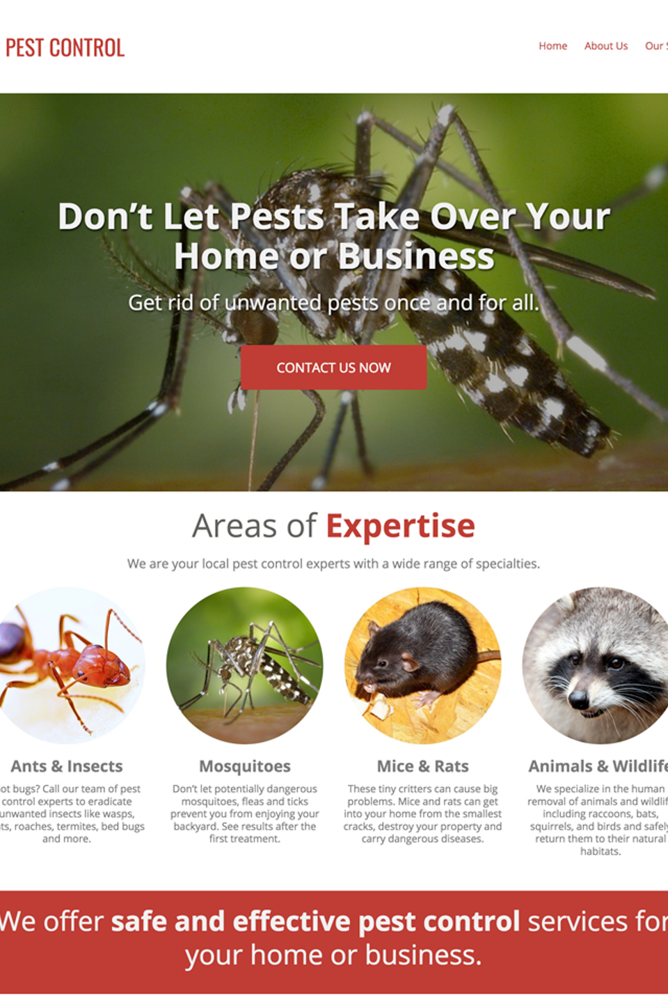 Pest Control Sample Website Homepage