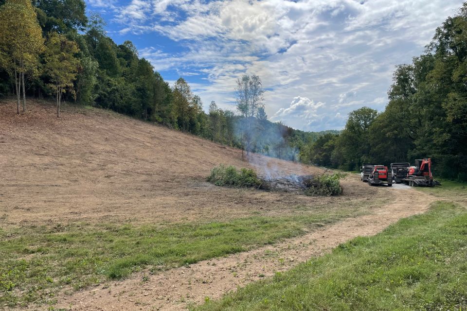 landClearing