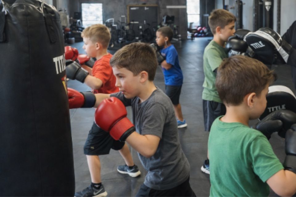 Next level training website (2)