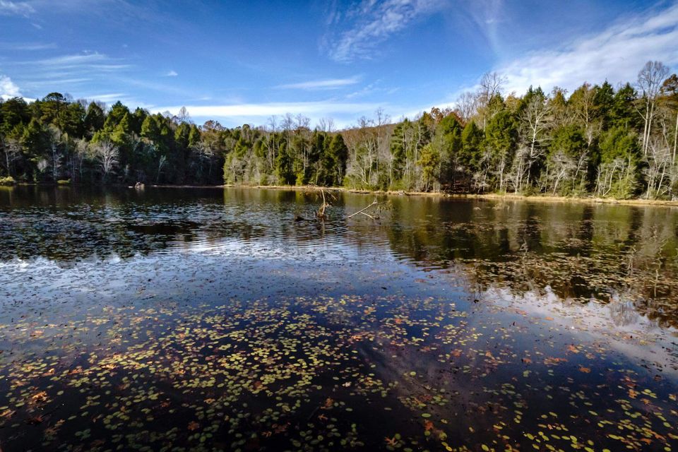 Kingsport Counseling and Therapy