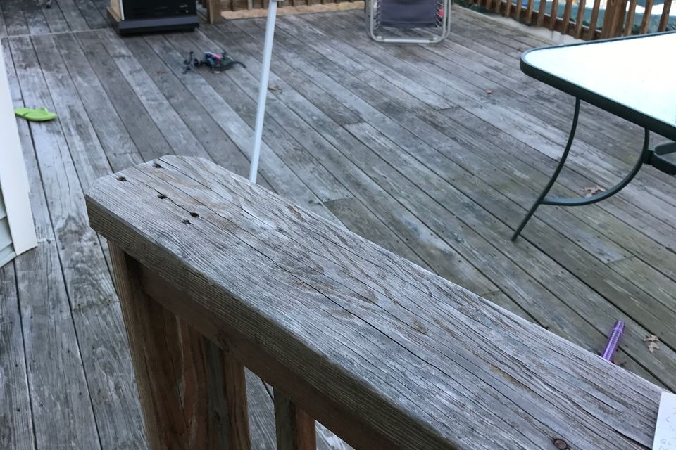 Img 0650