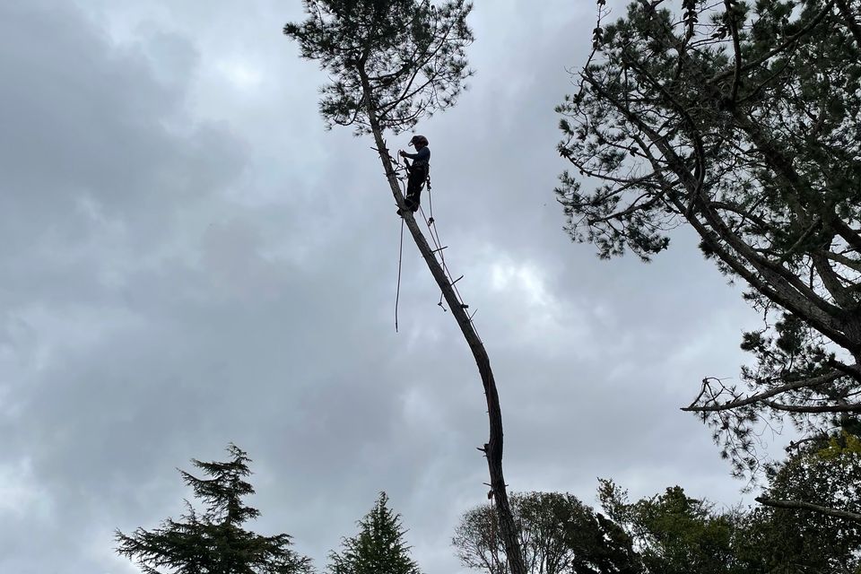 Img 0318